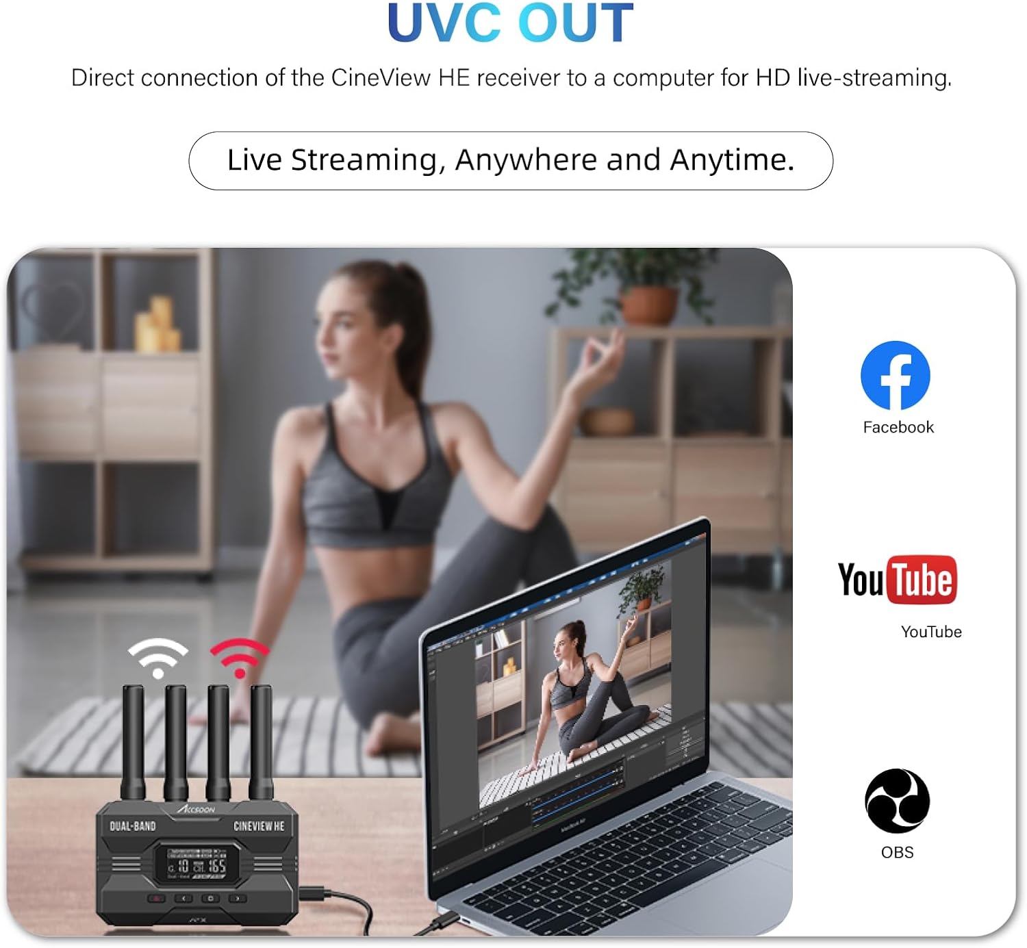 ACCSOON CineView HE HDMI Video - огляд і ціна Home Cinema Wireless