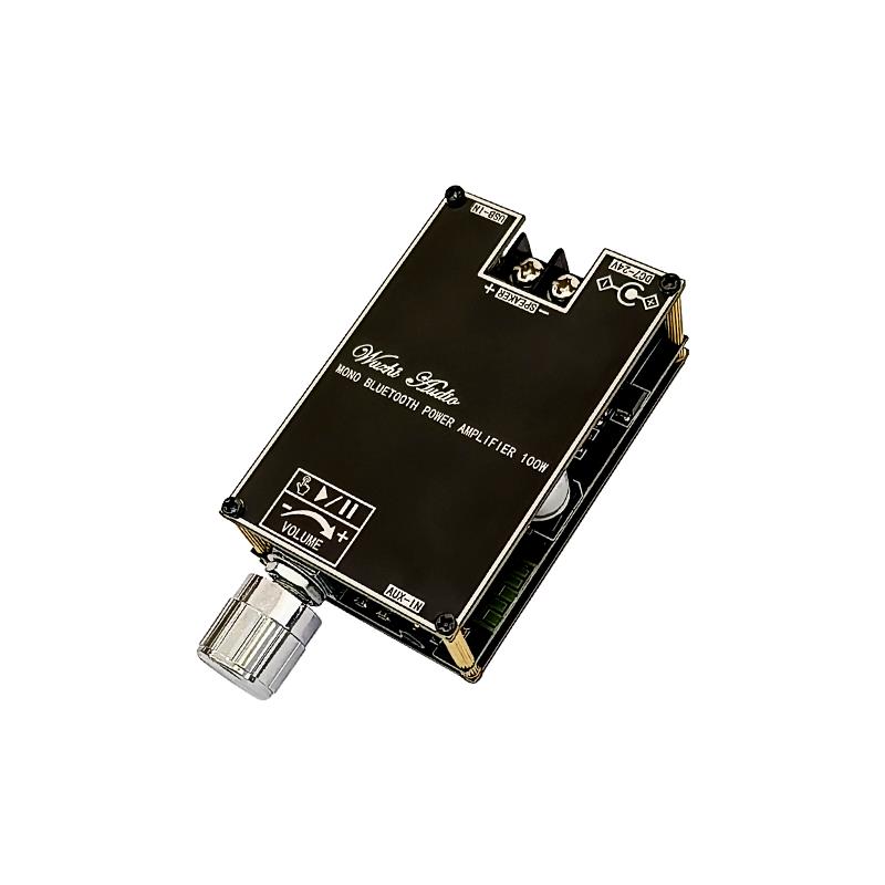 Bluetooth 5.1 TPA3116 D2 Mono  - огляд і ціна Home Cinema Wireless